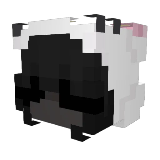 Fifnak Minecraft avatar head, 3D render