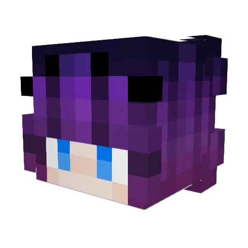 FiftyThirdRail Minecraft avatar head, 3D render