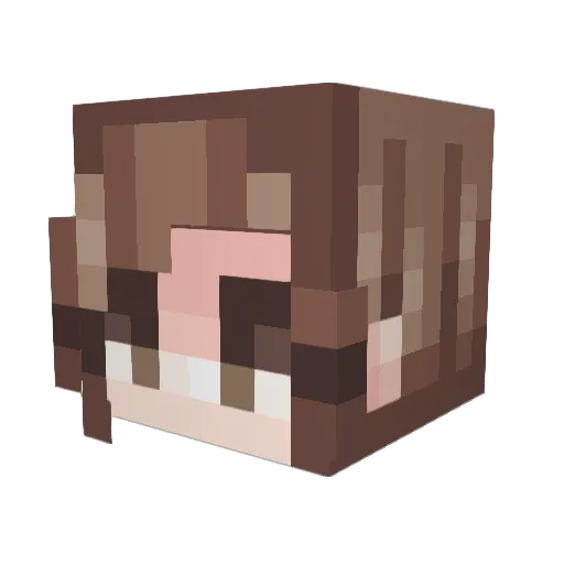 Fiftydue Minecraft avatar head, 3D render