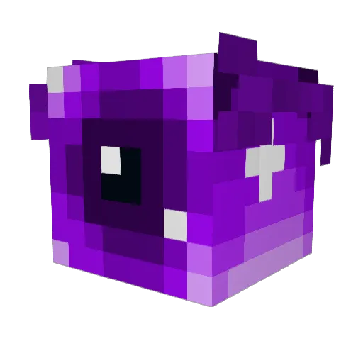 Figballd Minecraft avatar head, 3D render