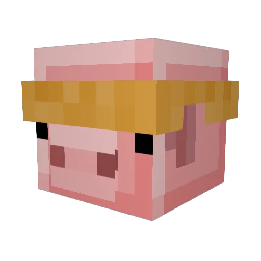 FightL Minecraft avatar head, 3D render