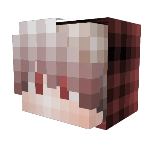 FightMeDude Minecraft avatar head, 3D render