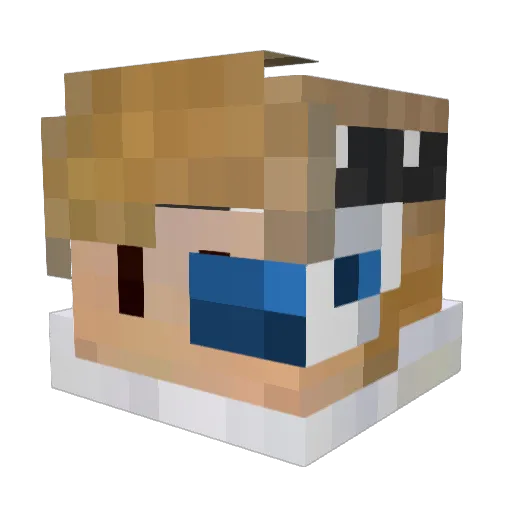 FightWithBabys Minecraft avatar head, 3D render