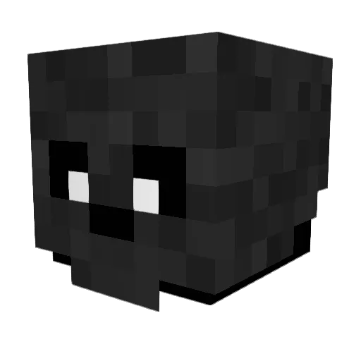 FightWither Minecraft avatar head, 3D render