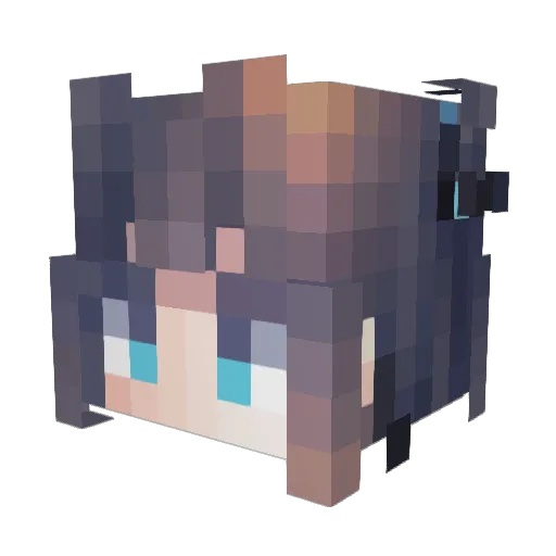 Fight_cy Minecraft avatar head, 3D render