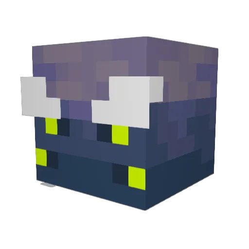 Fighter1746 Minecraft avatar head, 3D render