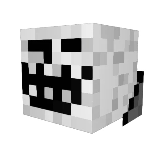 Fighter666 Minecraft avatar head, 3D render