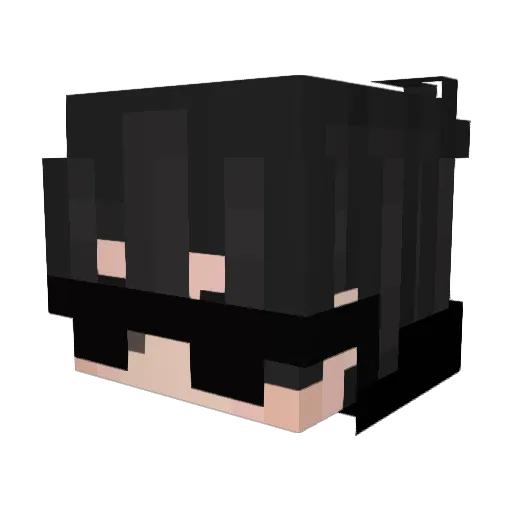 Fighter_T Minecraft avatar head, 3D render