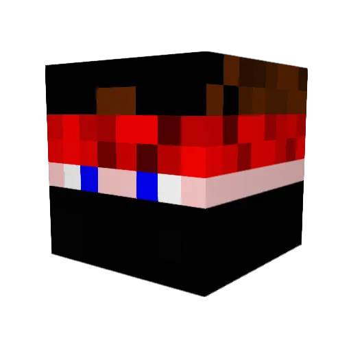 Fighterbacsi Minecraft avatar head, 3D render
