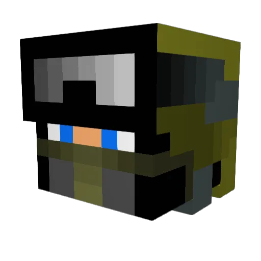 Fighteroo Minecraft avatar head, 3D render