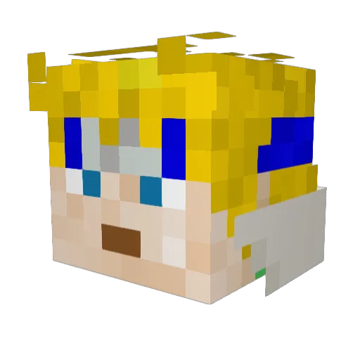 Fighterragon Minecraft avatar head, 3D render
