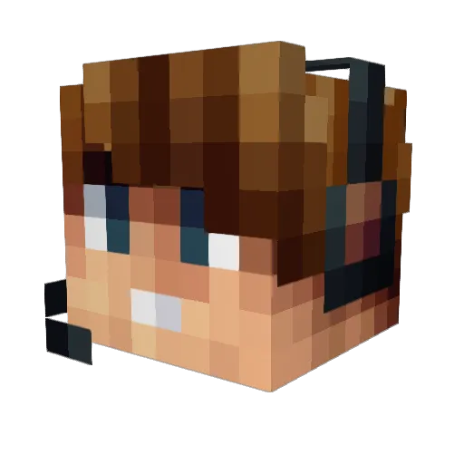 FightingGamer665 Minecraft avatar head, 3D render