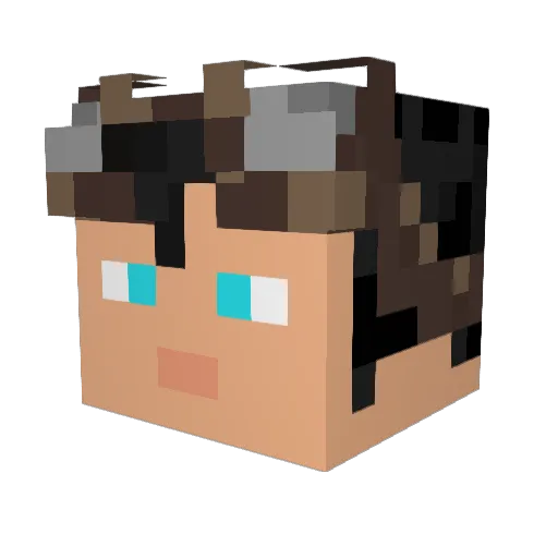 FightingHawk275 Minecraft avatar head, 3D render