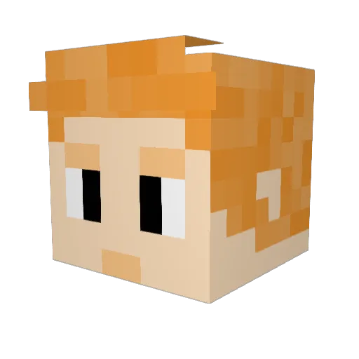 Fighting_Poodle Minecraft avatar head, 3D render