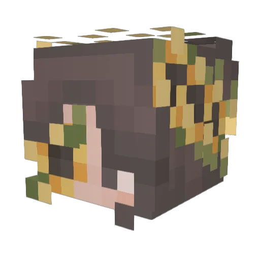 Figim Minecraft avatar head, 3D render