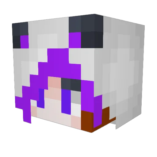 Figjam89 Minecraft avatar head, 3D render