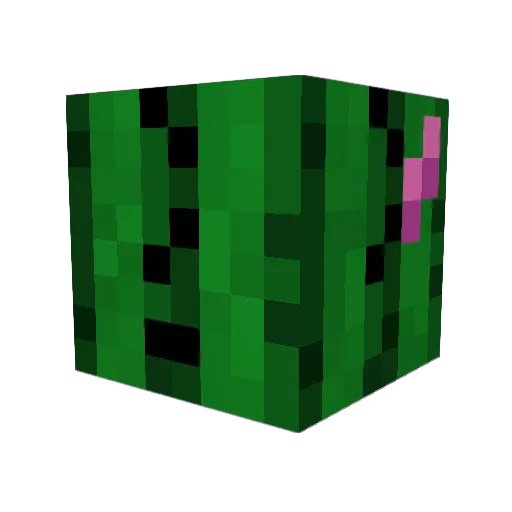 Fignuten_ Minecraft avatar head, 3D render