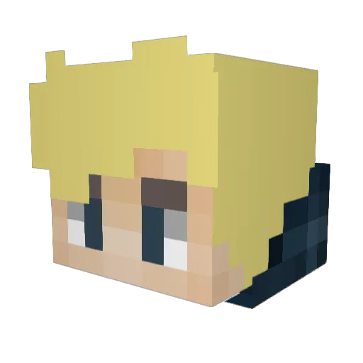 Figs18 Minecraft avatar head, 3D render