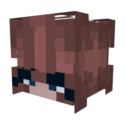 Figther99 Minecraft avatar head, 3D render