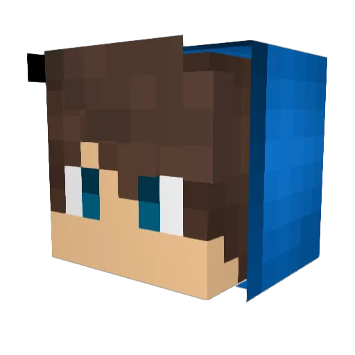 FiiNeX Minecraft avatar head, 3D render