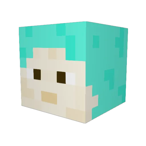 Fiiiiiiiiin Minecraft avatar head, 3D render