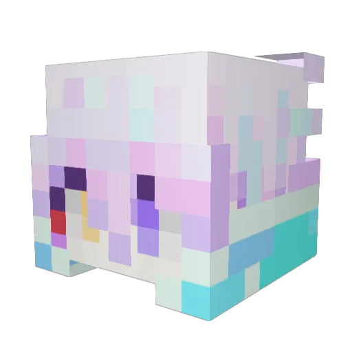Fiilaw Minecraft avatar head, 3D render