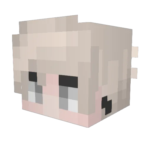 Fiipsel Minecraft avatar head, 3D render