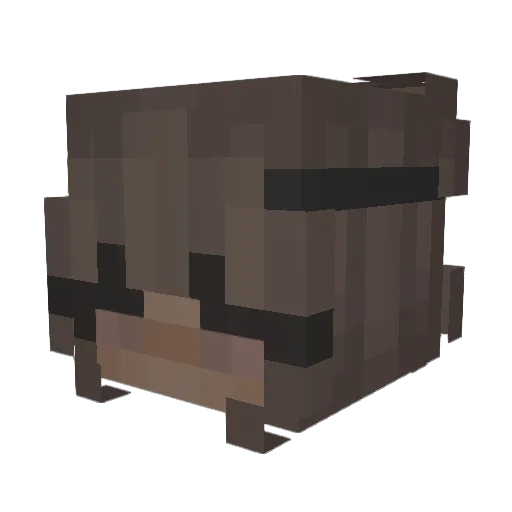 FiisbergBlake Minecraft avatar head, 3D render
