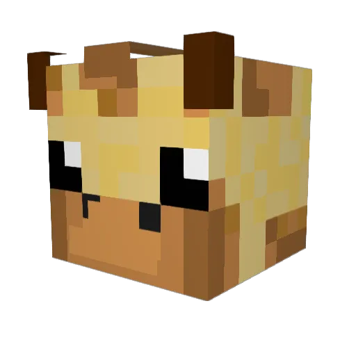 Fiisheez Minecraft avatar head, 3D render