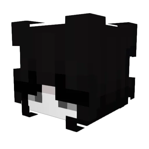 Fiitushi Minecraft avatar head, 3D render