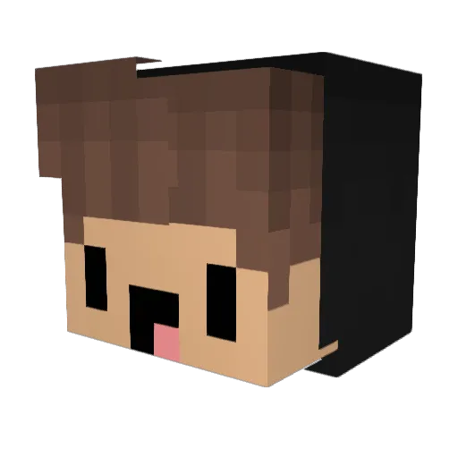 FiiveLight Minecraft avatar head, 3D render