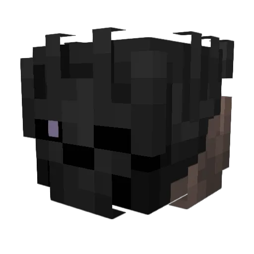 Fiiveztey Minecraft avatar head, 3D render