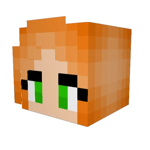 Fijara Minecraft avatar head, 3D render