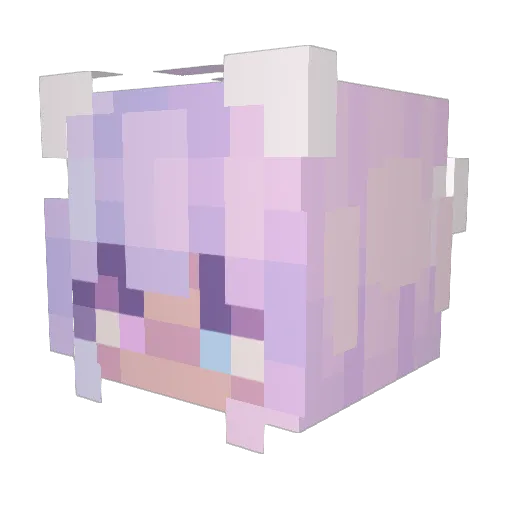 Fikamica Minecraft avatar head, 3D render