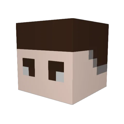 Fikusant Minecraft avatar head, 3D render
