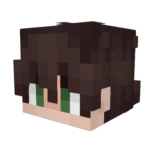 Fild4_ Minecraft avatar head, 3D render