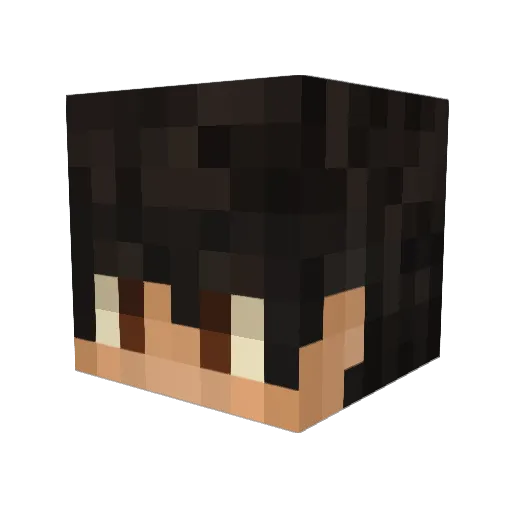Fildrixx Minecraft avatar head, 3D render