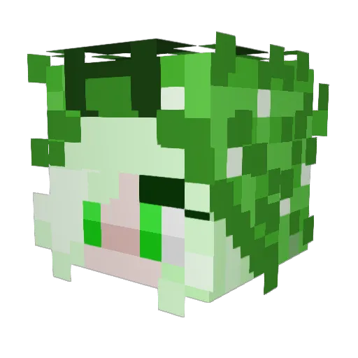 Filinchen7 Minecraft avatar head, 3D render