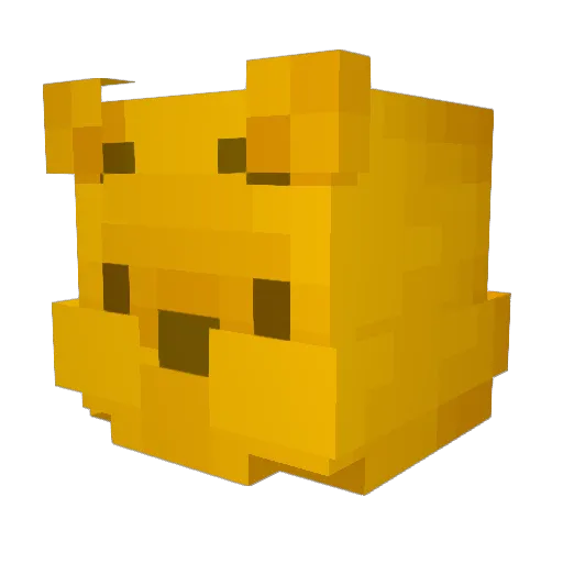 Filip05s Minecraft avatar head, 3D render