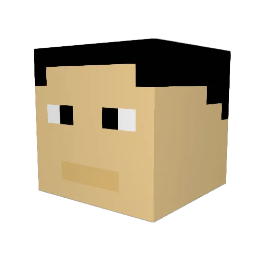 Filip2730 Minecraft avatar head, 3D render