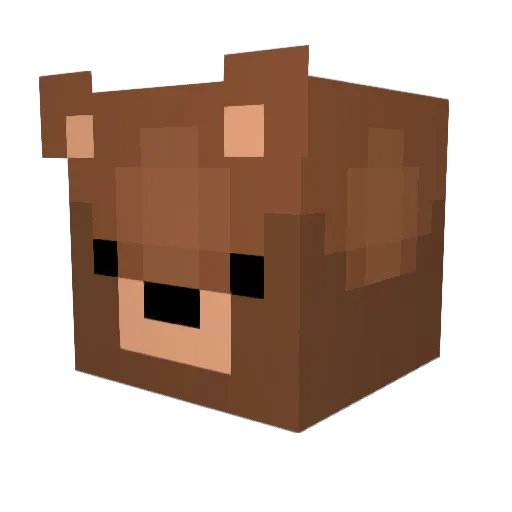 Filip6025 Minecraft avatar head, 3D render