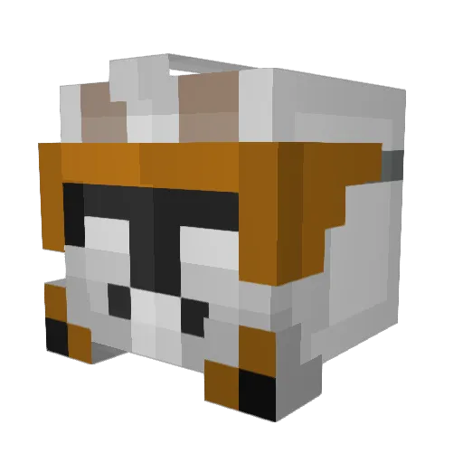FilipT2011 Minecraft avatar head, 3D render