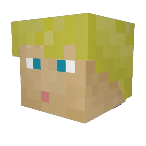 FilipZi29 Minecraft avatar head, 3D render