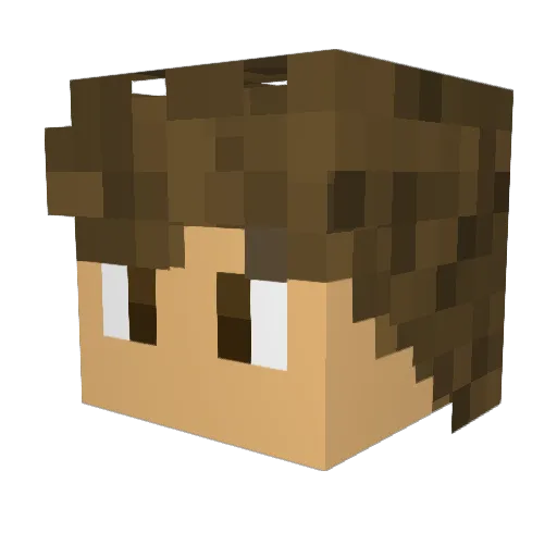 Filip_05 Minecraft avatar head, 3D render