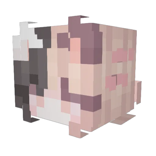 Filip_Heros Minecraft avatar head, 3D render
