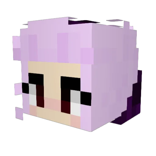 Filip_nad Minecraft avatar head, 3D render