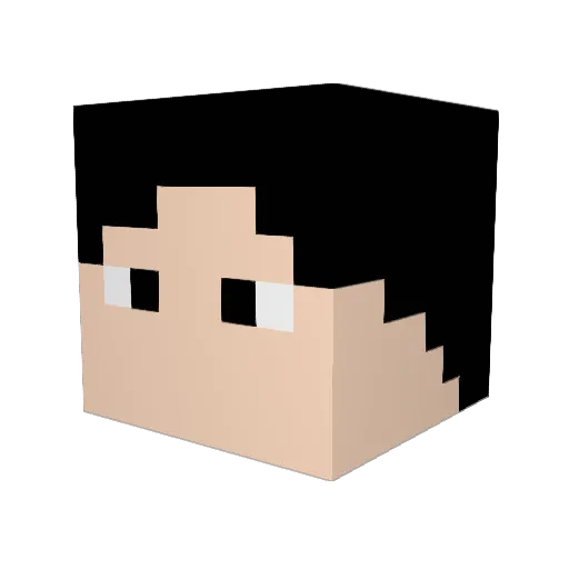 FilipeTC_ Minecraft avatar head, 3D render
