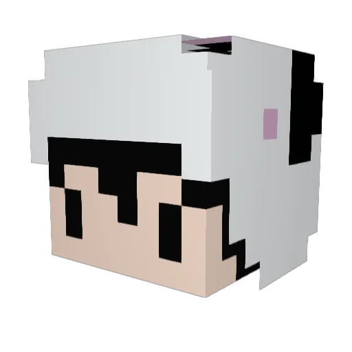 Filipek_1 Minecraft avatar head, 3D render