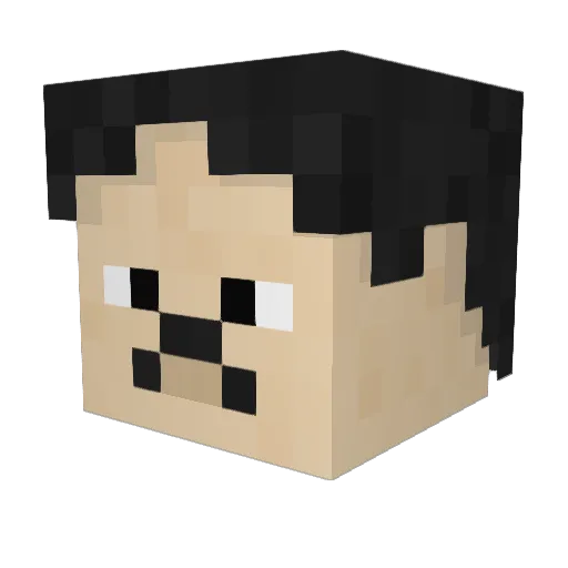 Filiperher Minecraft avatar head, 3D render