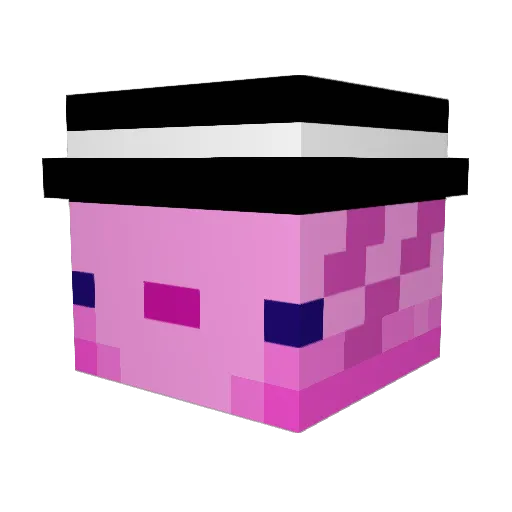Filipot Minecraft avatar head, 3D render